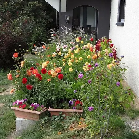 Le Ventor Apartment Saint-Agreve